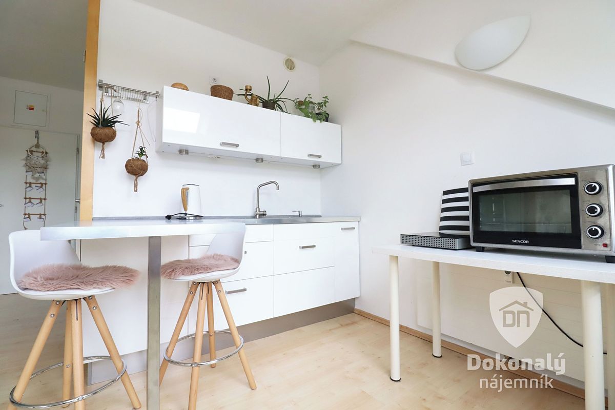Pronájem bytu 1+kk 45 m²