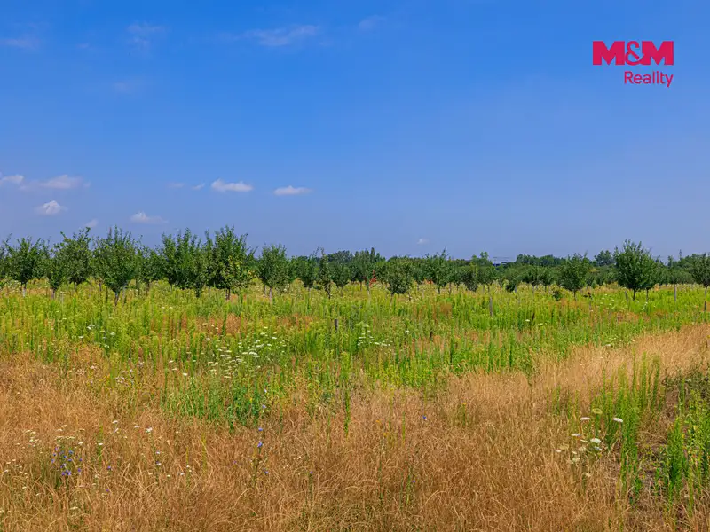 Prodej pole 21280 m², Rakvice – náhled fotky 2
