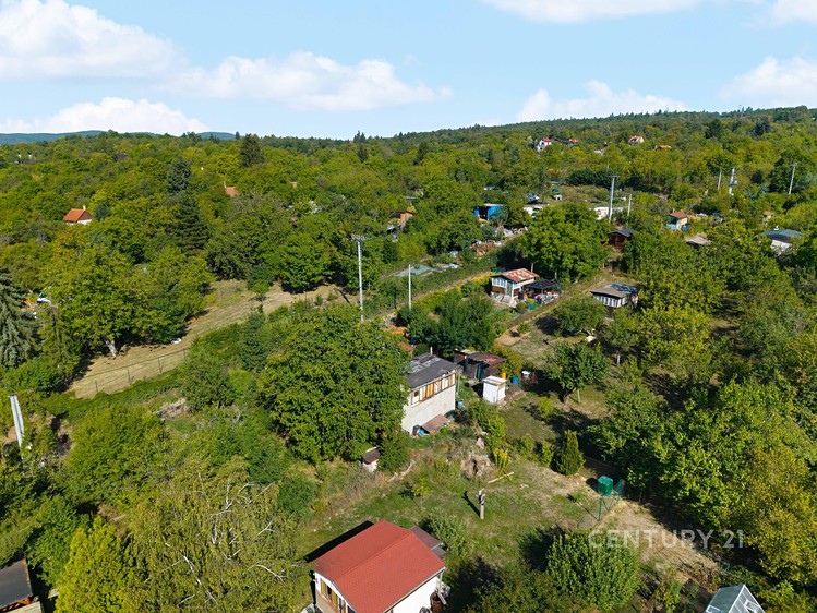 Ostatní