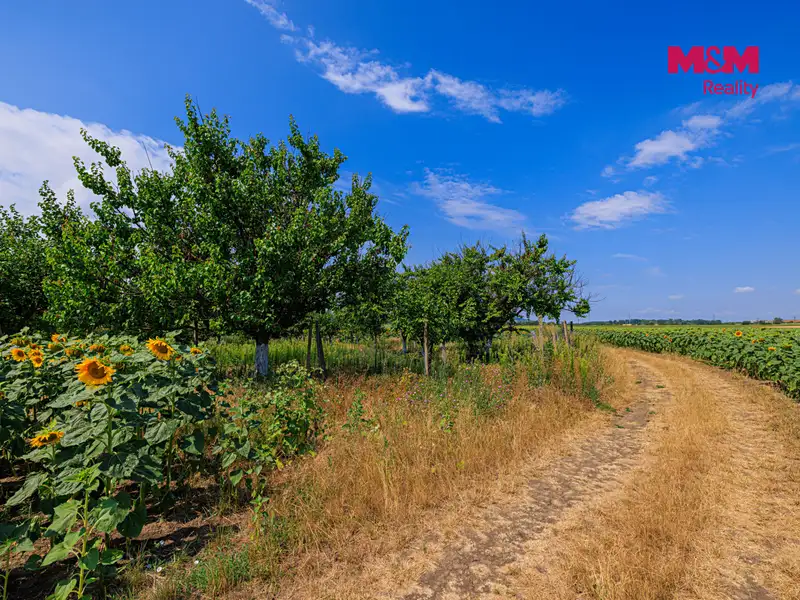 Prodej pole 14490 m², Zaječí – náhled fotky 2