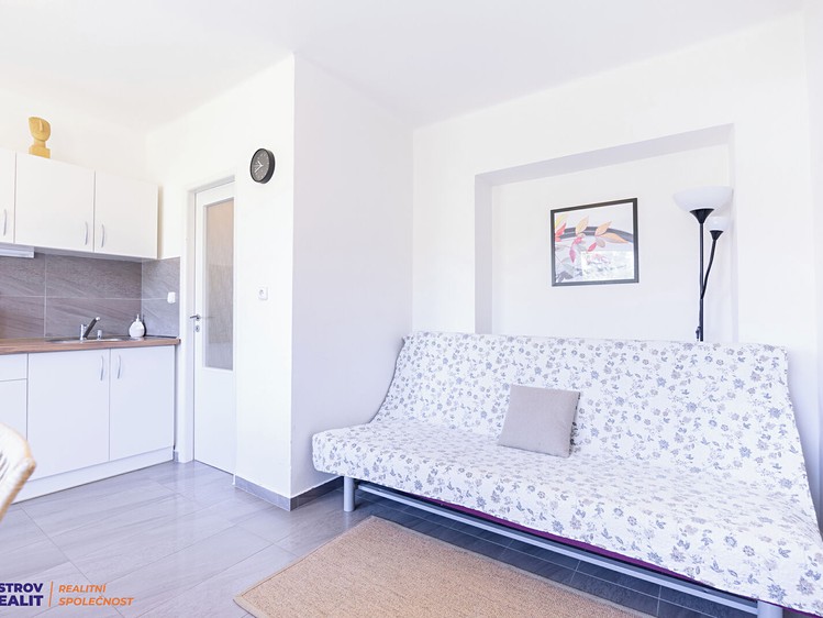 Prodej domu, 450 m² (7 z 35)