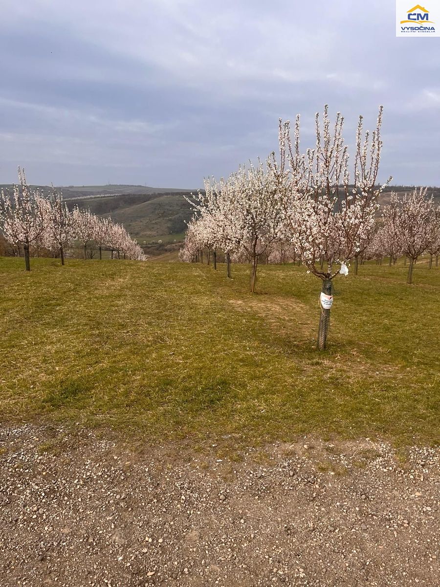 Prodej pole 6286 m² – fotografie 2