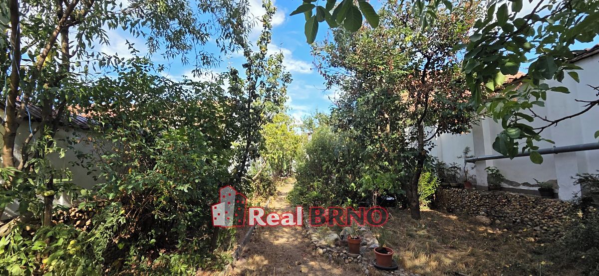 Prodej rodinného domu 172 m², pozemek 337 m² – fotografie 4