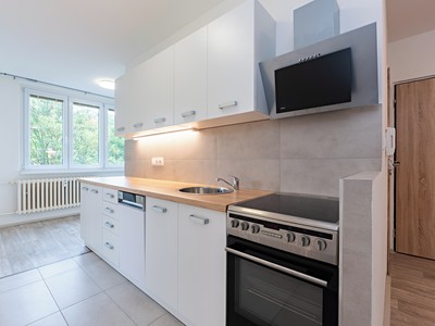 Prodej bytu 3+1 60 m²