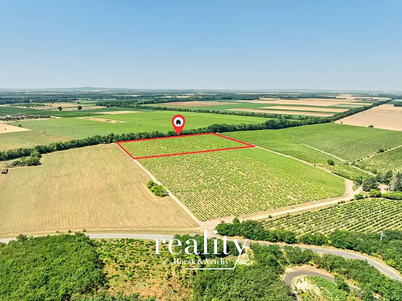 Prodej sadu, vinice 33963 m², Šanov – náhled fotky 3