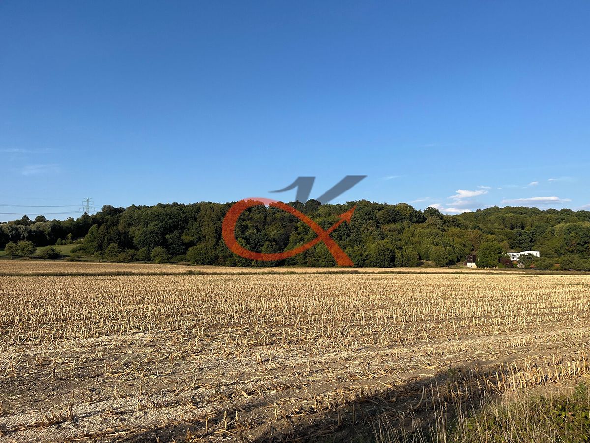 Prodej pole 4766 m² – fotografie 3