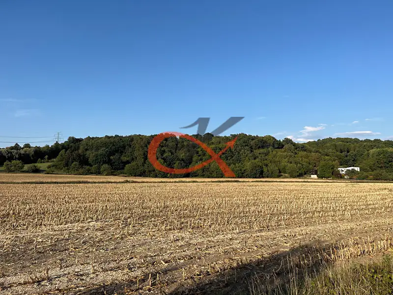 Prodej pole 4766 m², Lešná – náhled fotky 3