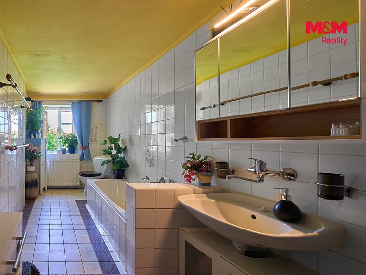 Будинок на продаж, 263 м² (9 з 30)