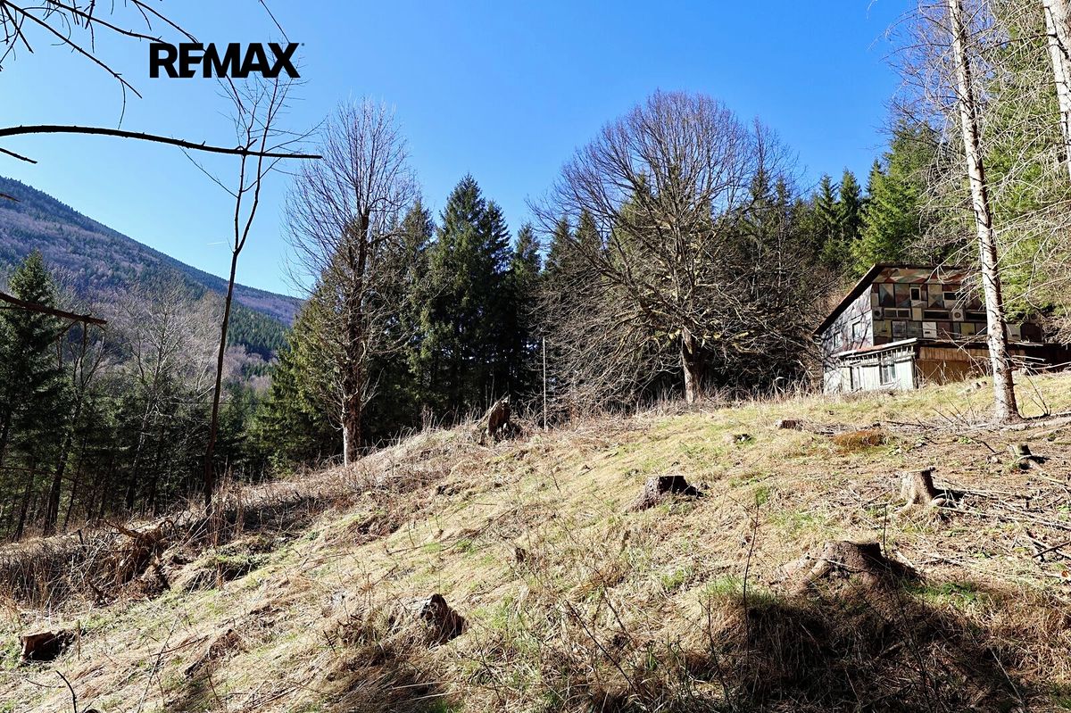Prodej chaty 180 m², pozemek 7880 m² – fotografie 2
