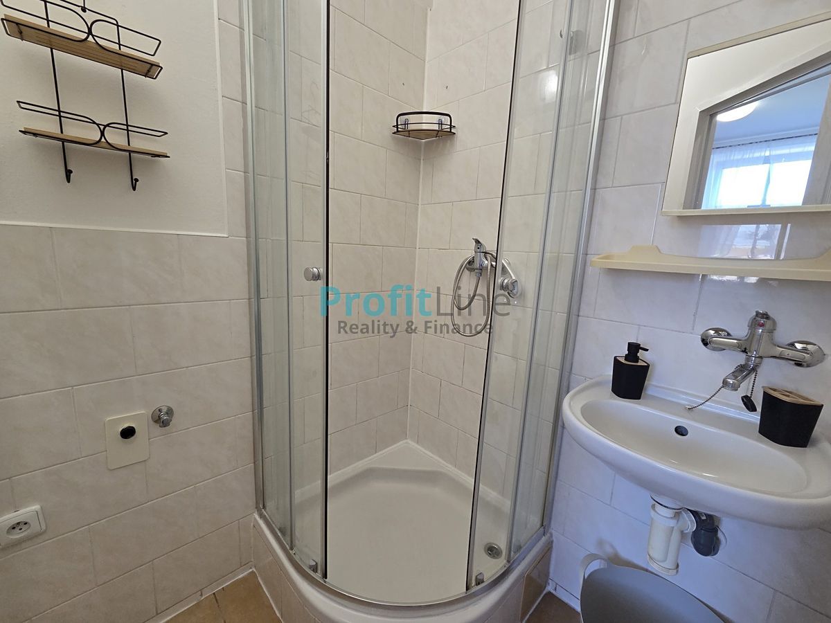 Pronájem bytu 1+1 40 m² – fotografie 5