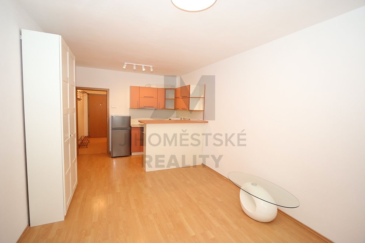 Pronájem bytu 1+kk 29 m² – fotografie 4