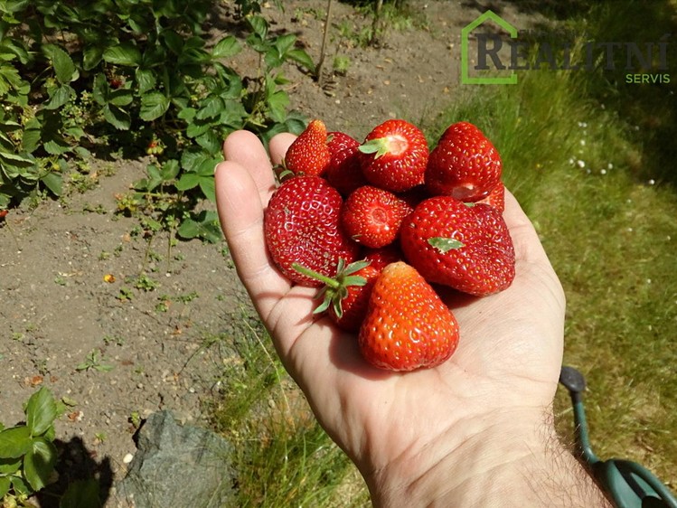 Будинок на продаж, 16 м² (24 з 47)