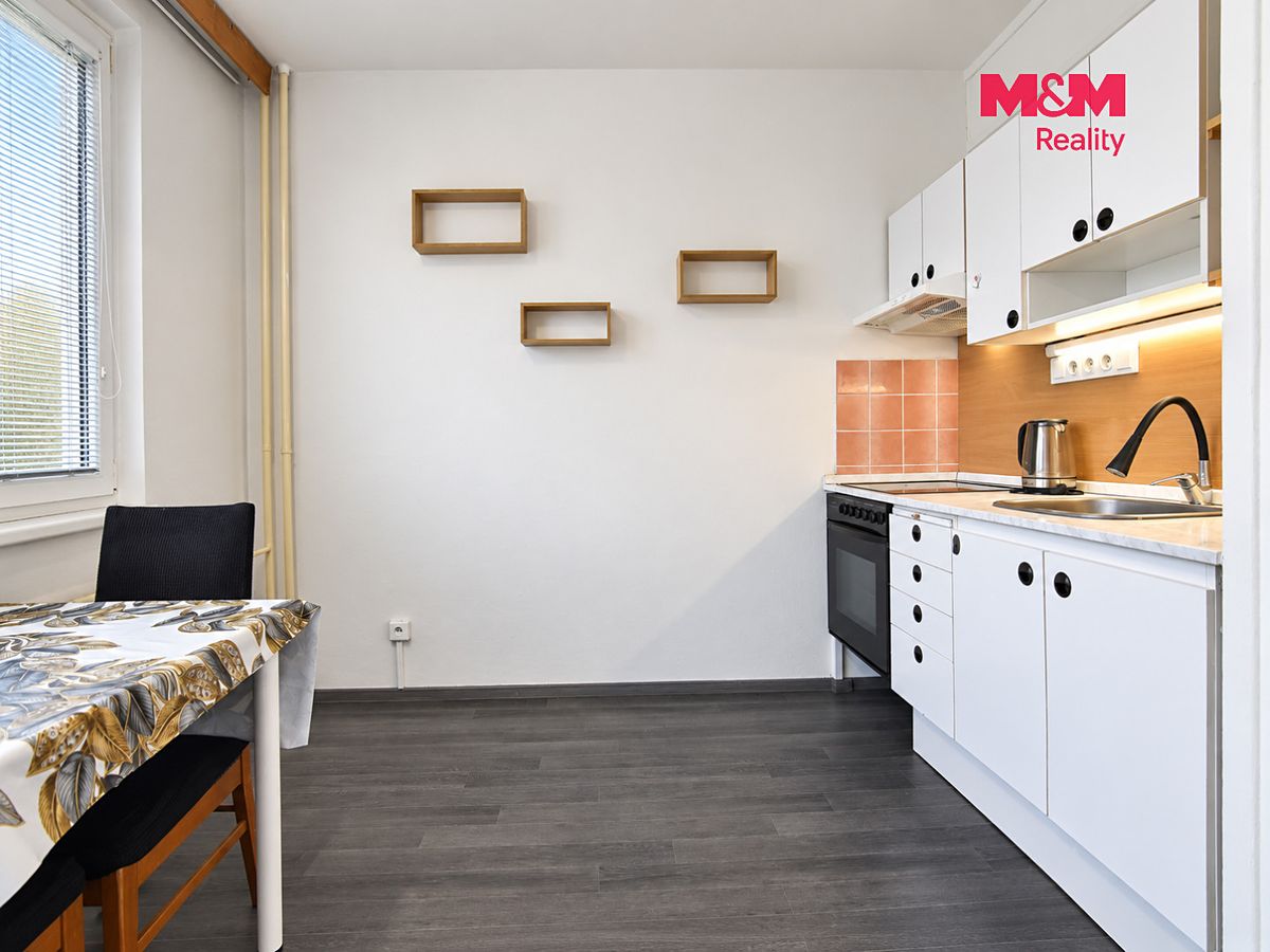 Pronájem bytu 1+1 42 m² – fotografie 4
