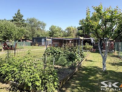 Prodej zahrady 399 m²