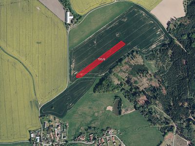 Prodej pole 4316 m²