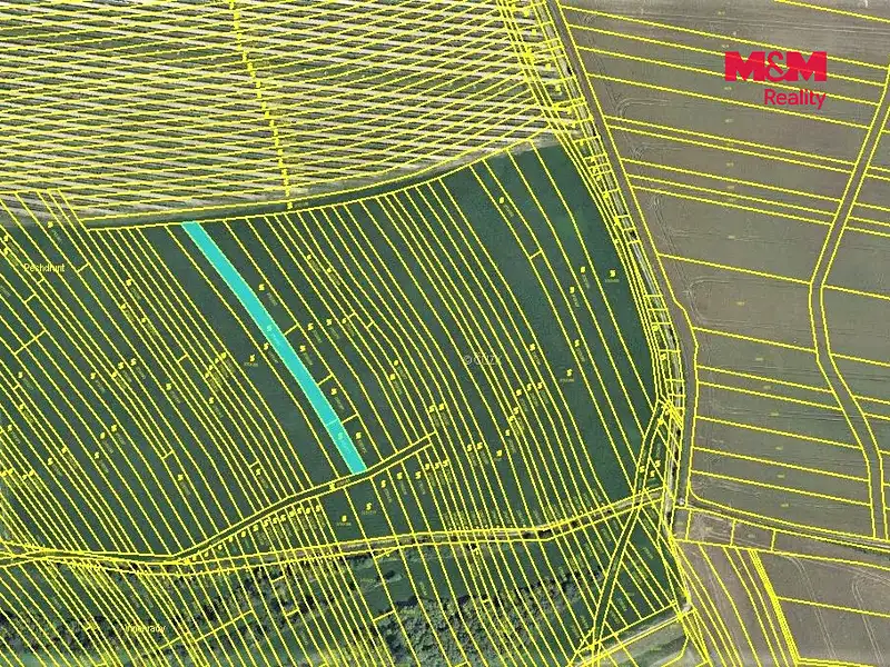 Prodej sadu, vinice 1267 m², Vracov – náhled fotky 3