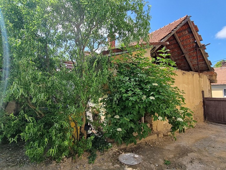 Prodej domu, 200 m² (21 z 31)