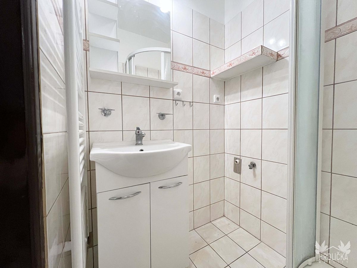 Pronájem bytu 2+1 50 m² – fotografie 4