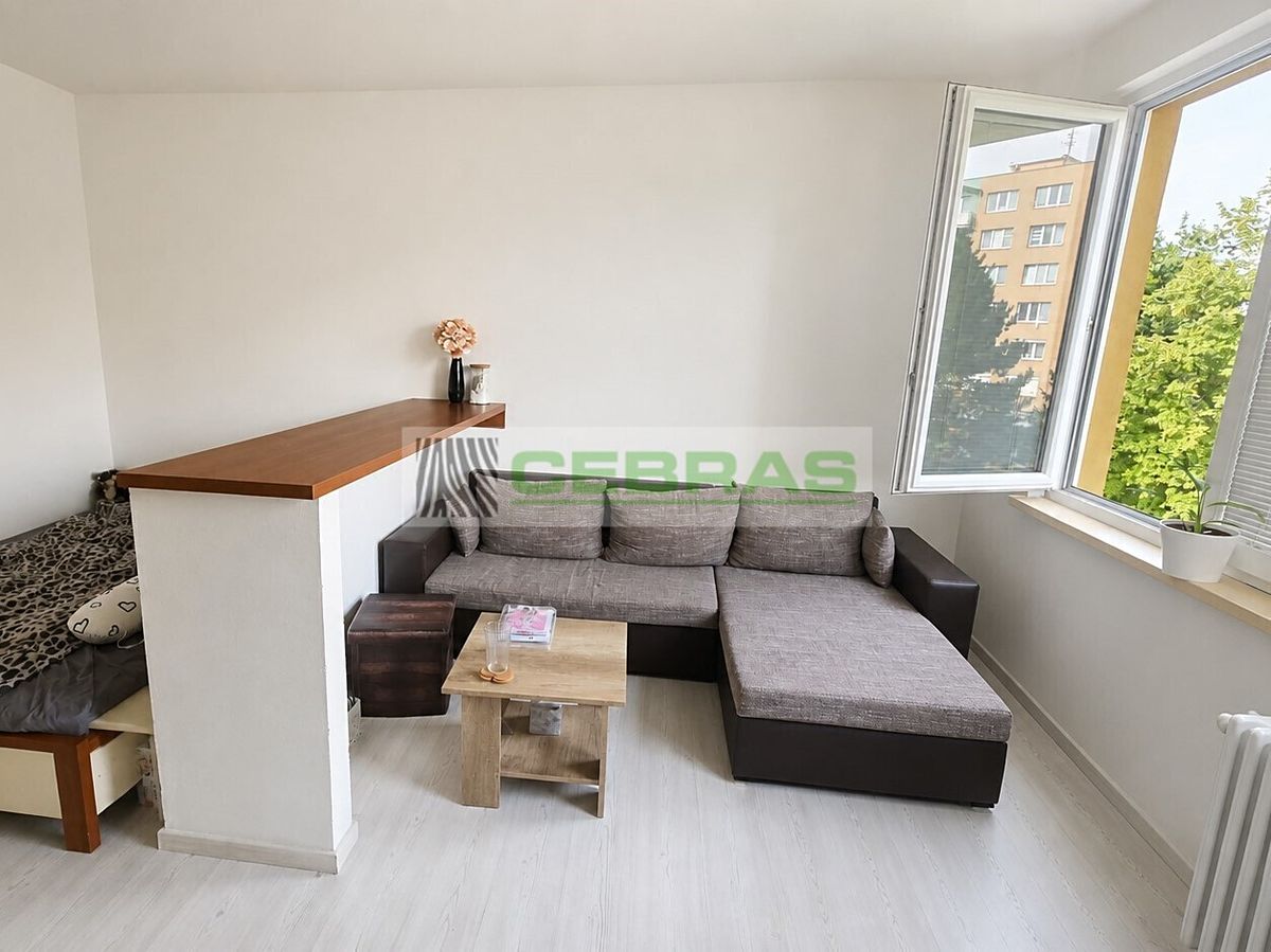 Pronájem bytu 1+1 36 m² – fotografie 3