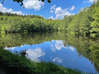 Prodej rybníku (vodní plochy) 91314 m²