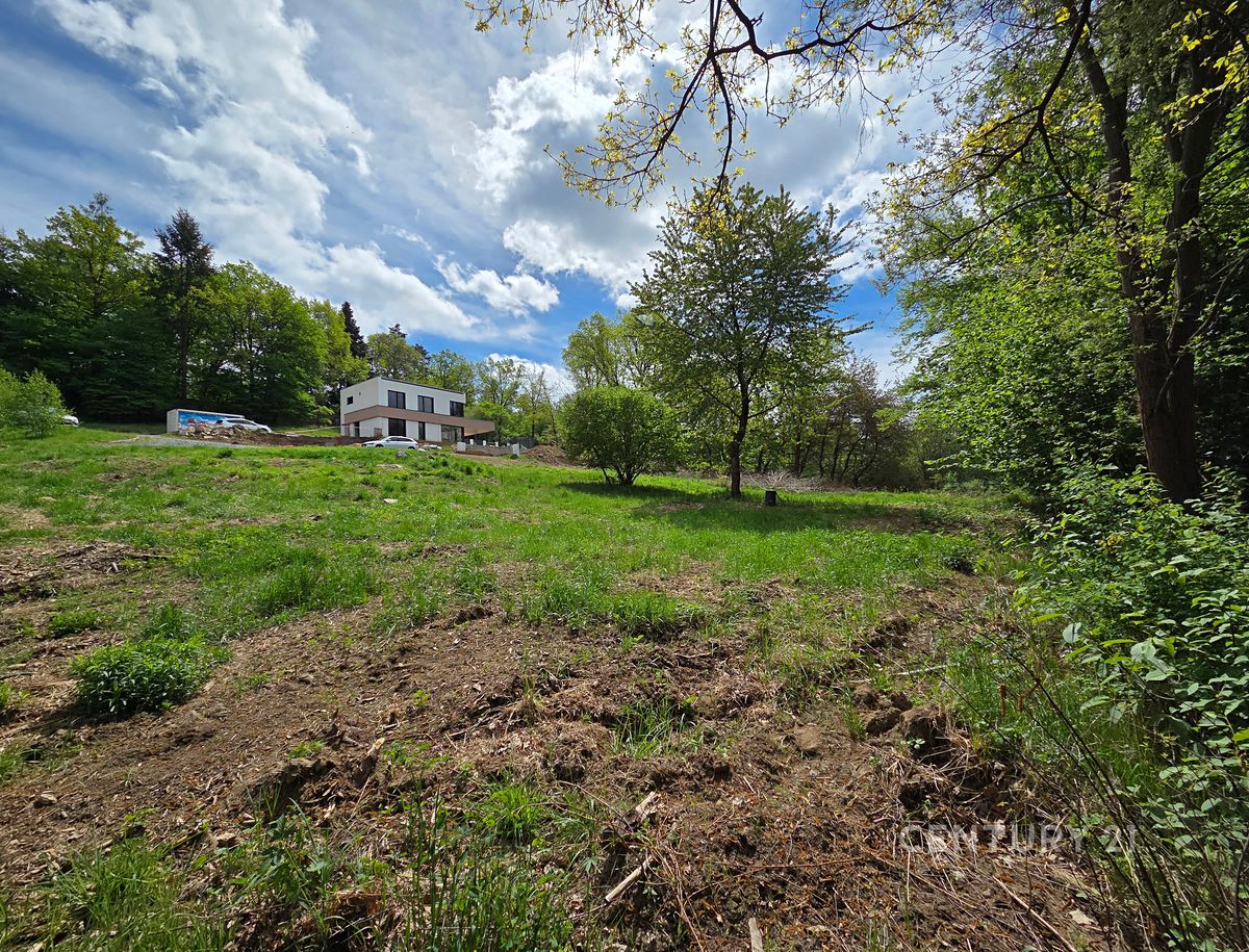 Prodej stavebního pozemku 1217 m² – fotografie 2