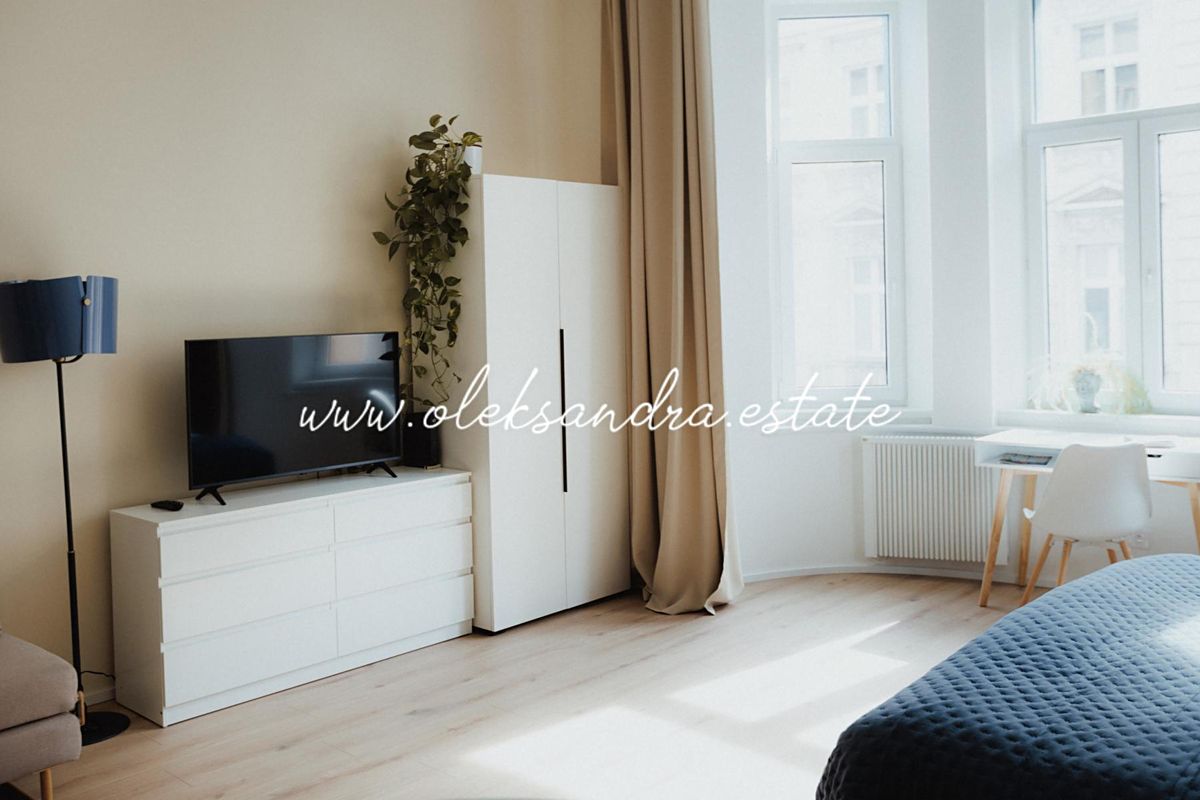 Pronájem bytu 1+kk 40 m² – fotografie 4