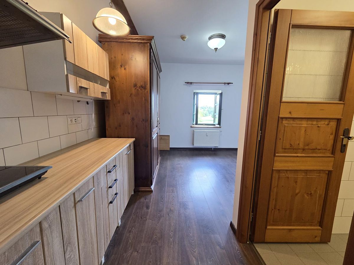 Pronájem bytu 1+kk 49 m² – fotografie 2