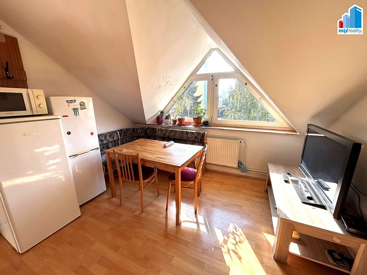 Pronájem bytu pokoje 25 m² – fotografie 4