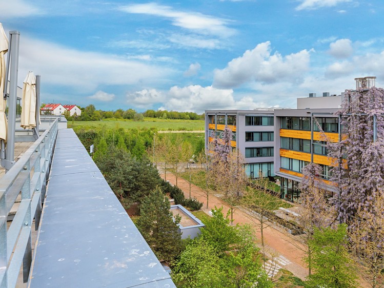 Gewerbefläche zur Miete, 2.000 m² (14 von 19)