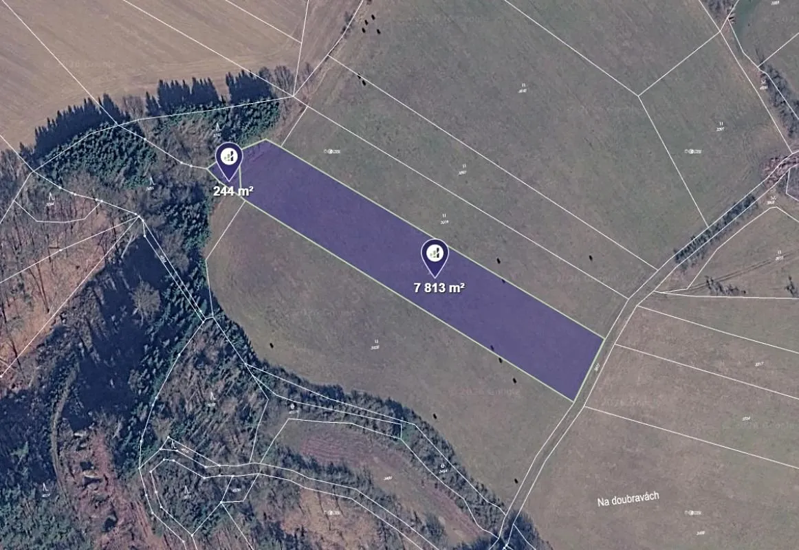 Prodej louky 8057 m²