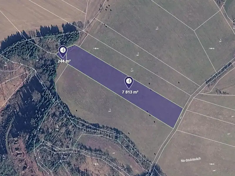Prodej louky 8057 m², Vyskeř – náhled fotky 1