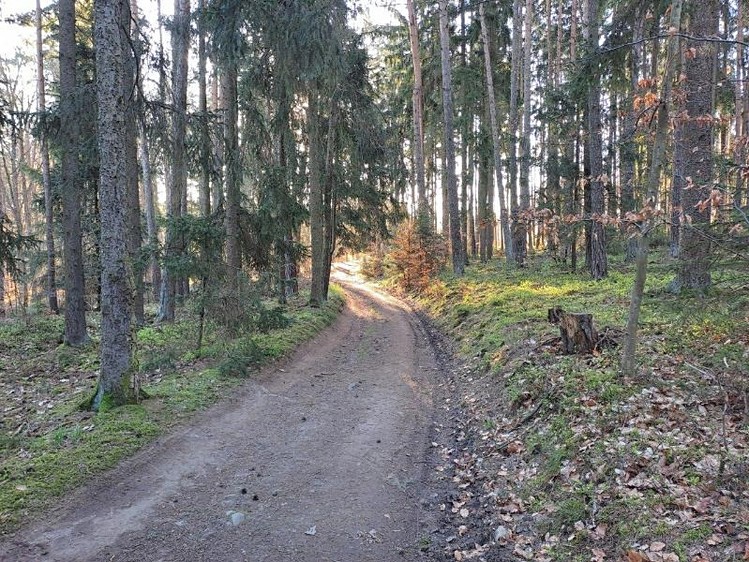 Grundstück zum Kauf, 3.017 m² (3 von 12)