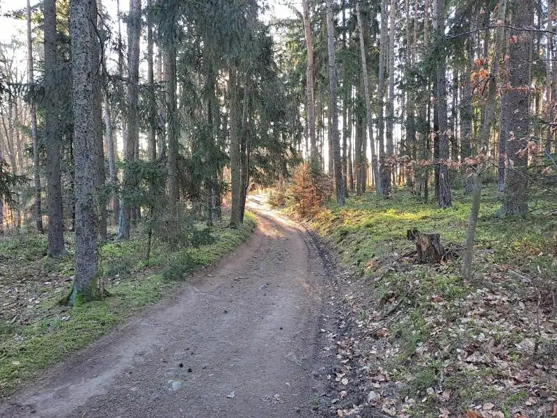 Prodej pozemku 3017 m², Probulov – náhled fotky 3