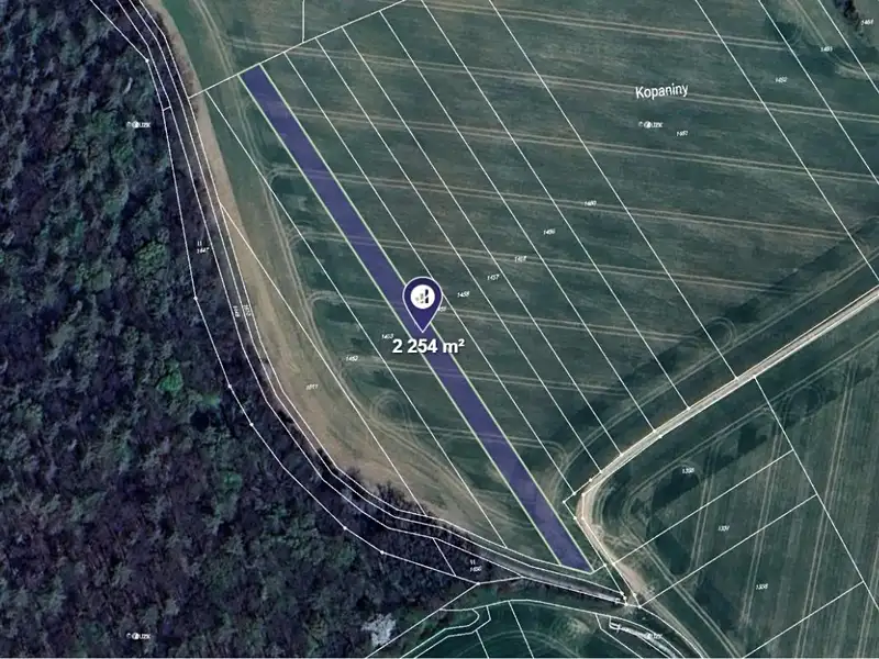 Prodej pole 2254 m², Bělov – náhled fotky 1