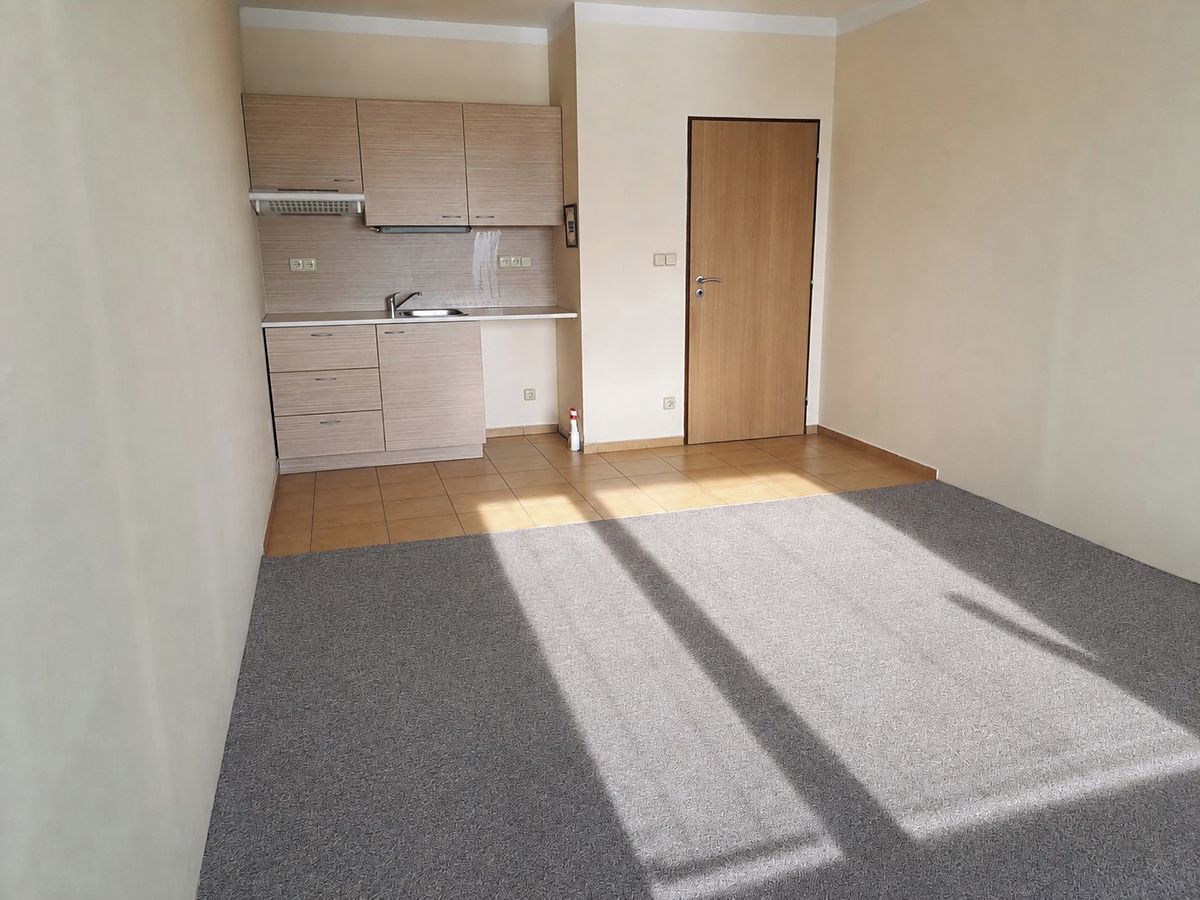 Pronájem bytu 1+kk 29 m²