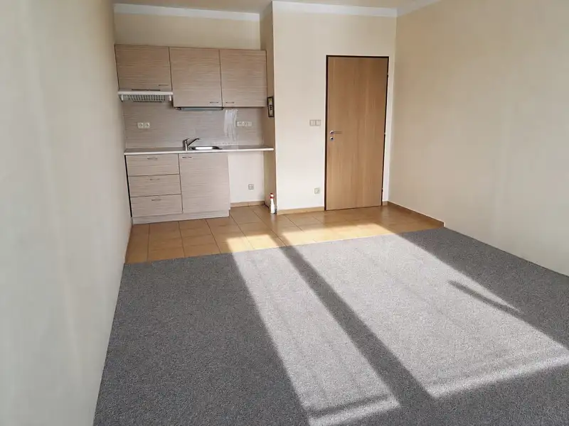 Pronájem bytu 1+kk 29 m², Hradec Králové – náhled fotky 1