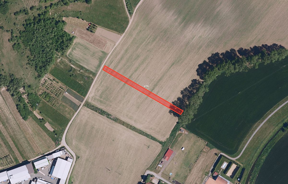 Prodej pole 10259 m² – fotografie 3