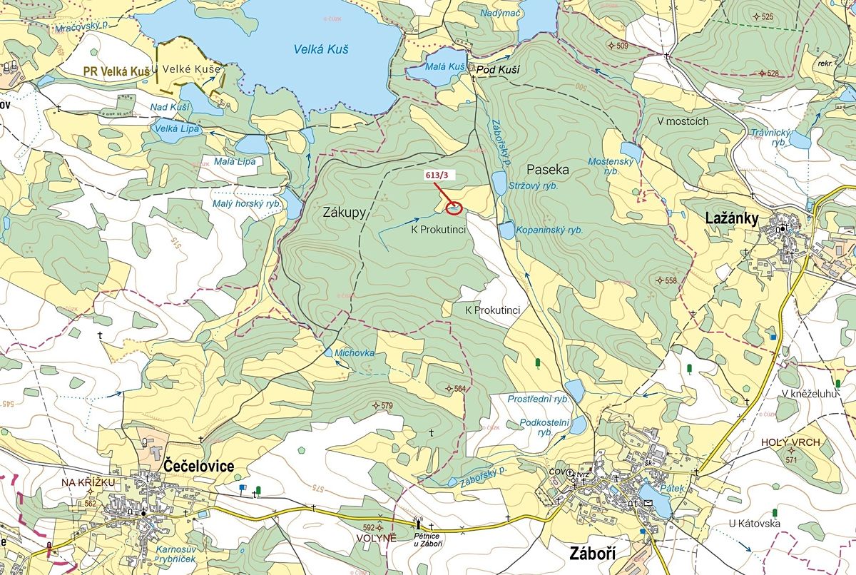 Dražba lesa 180 m², Záboří – fotka 1 z 3