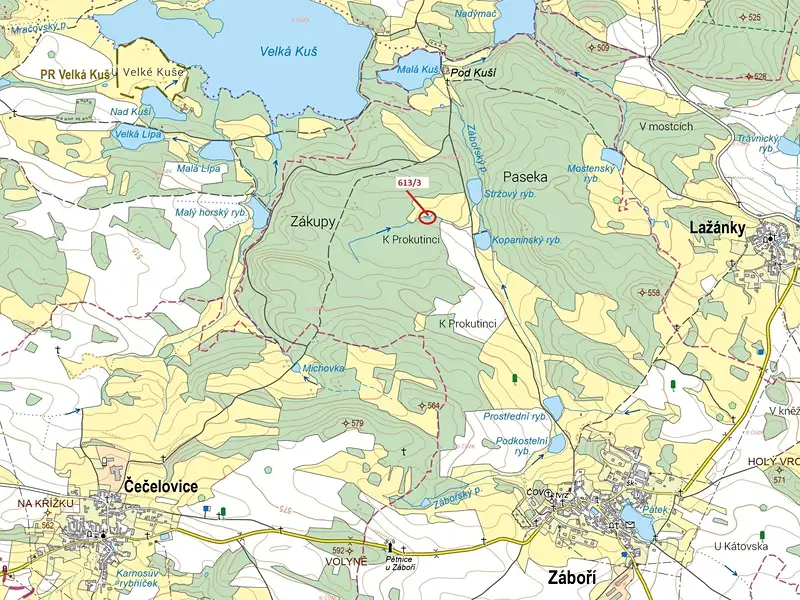 Dražba lesa 180 m², Záboří – náhled fotky 1