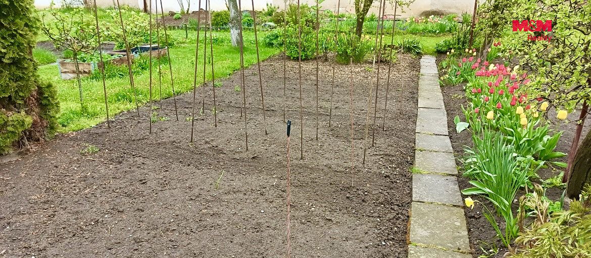 Prodej chaty 9 m², pozemek 240 m² – fotografie 5