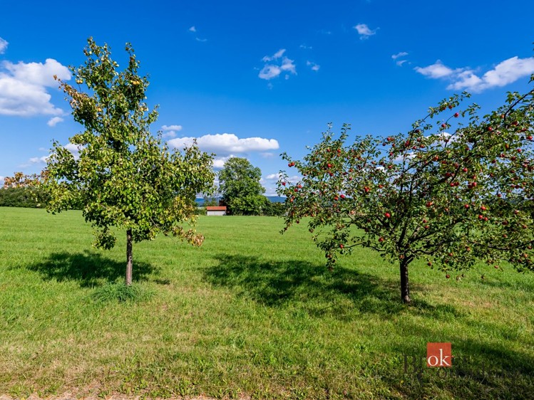Grundstück zum Kauf, 7.126 m² (6 von 14)