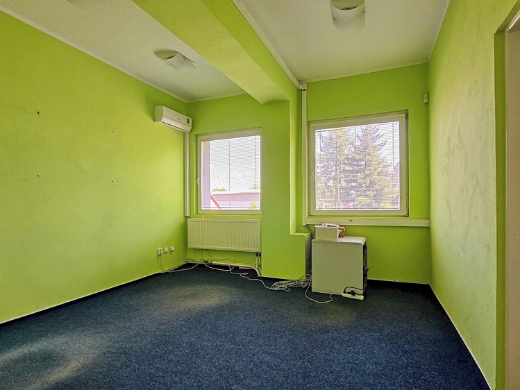 Pronájem komerčního prostoru, 156 m² (10 z 18)
