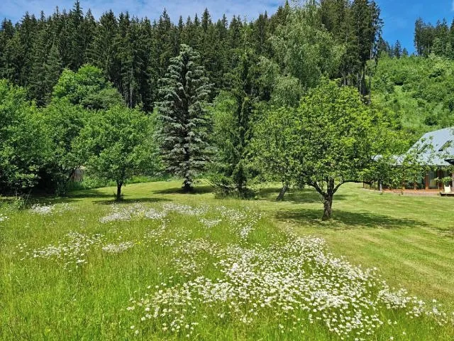 Prodej stavebního pozemku 3356 m²