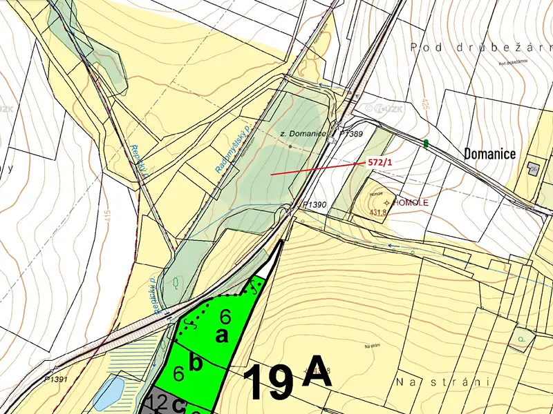 Dražba lesa 13245 m², Radomyšl – náhled fotky 3