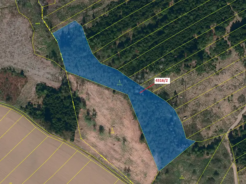 Dražba lesa 7085 m², Opatov – náhled fotky 2