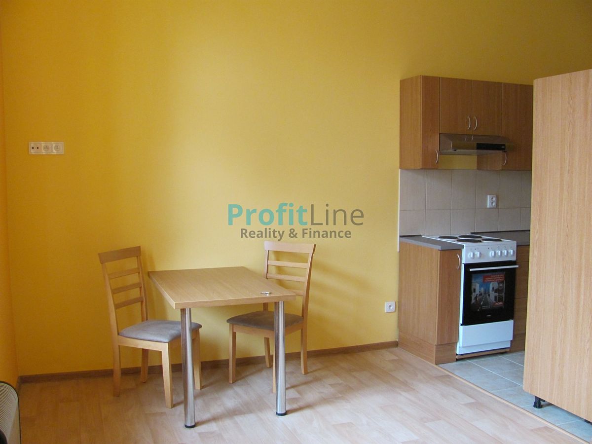 Pronájem bytu 1+kk 41 m²