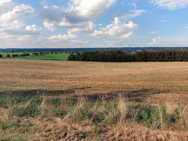 Prodej pole 18276 m², Bílá Třemešná – náhled fotky 2