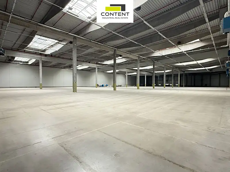 Pronájem výrobní haly, prostoru 12208 m², Hrušky – náhled fotky 3