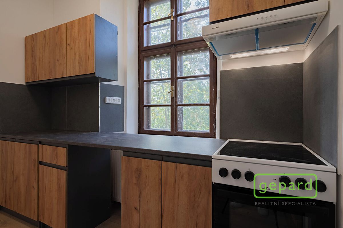 Pronájem bytu 2+1 50 m² – fotografie 2