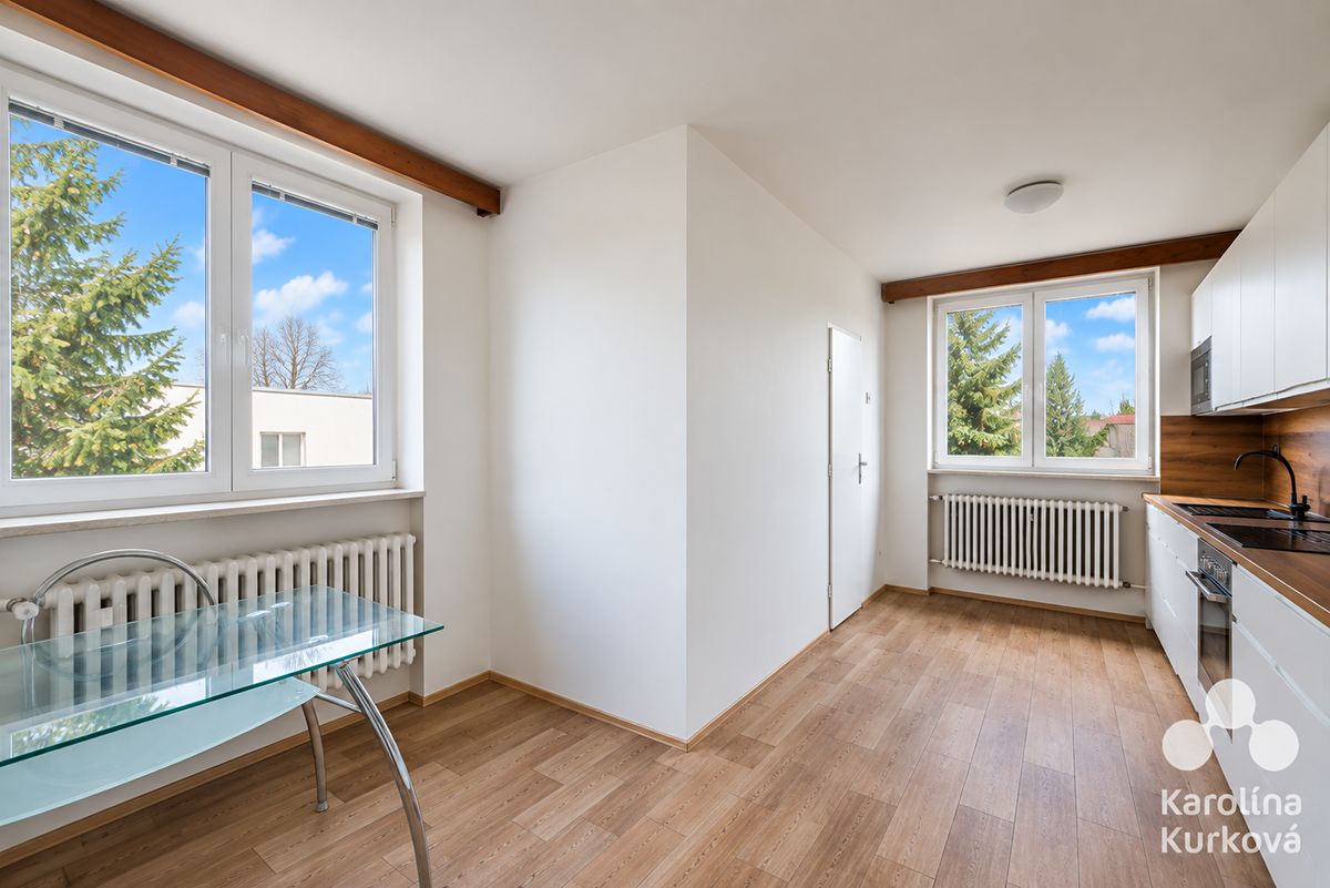 Pronájem bytu 3+1 95 m²